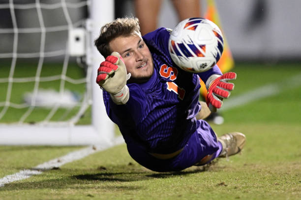 许将迎来飞 许将迎来飞